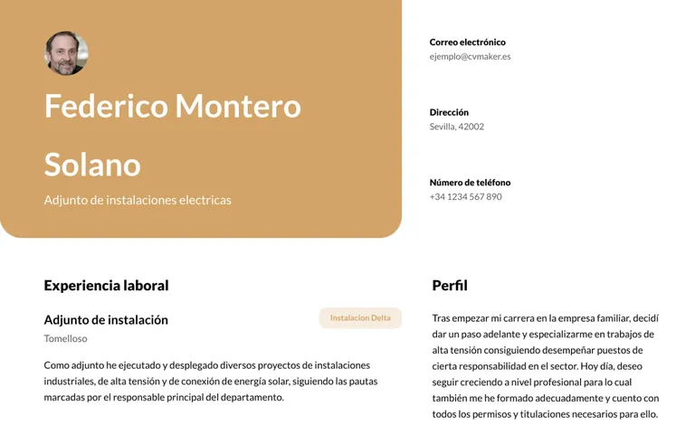 ejemplo de perfil profesional de un electricista