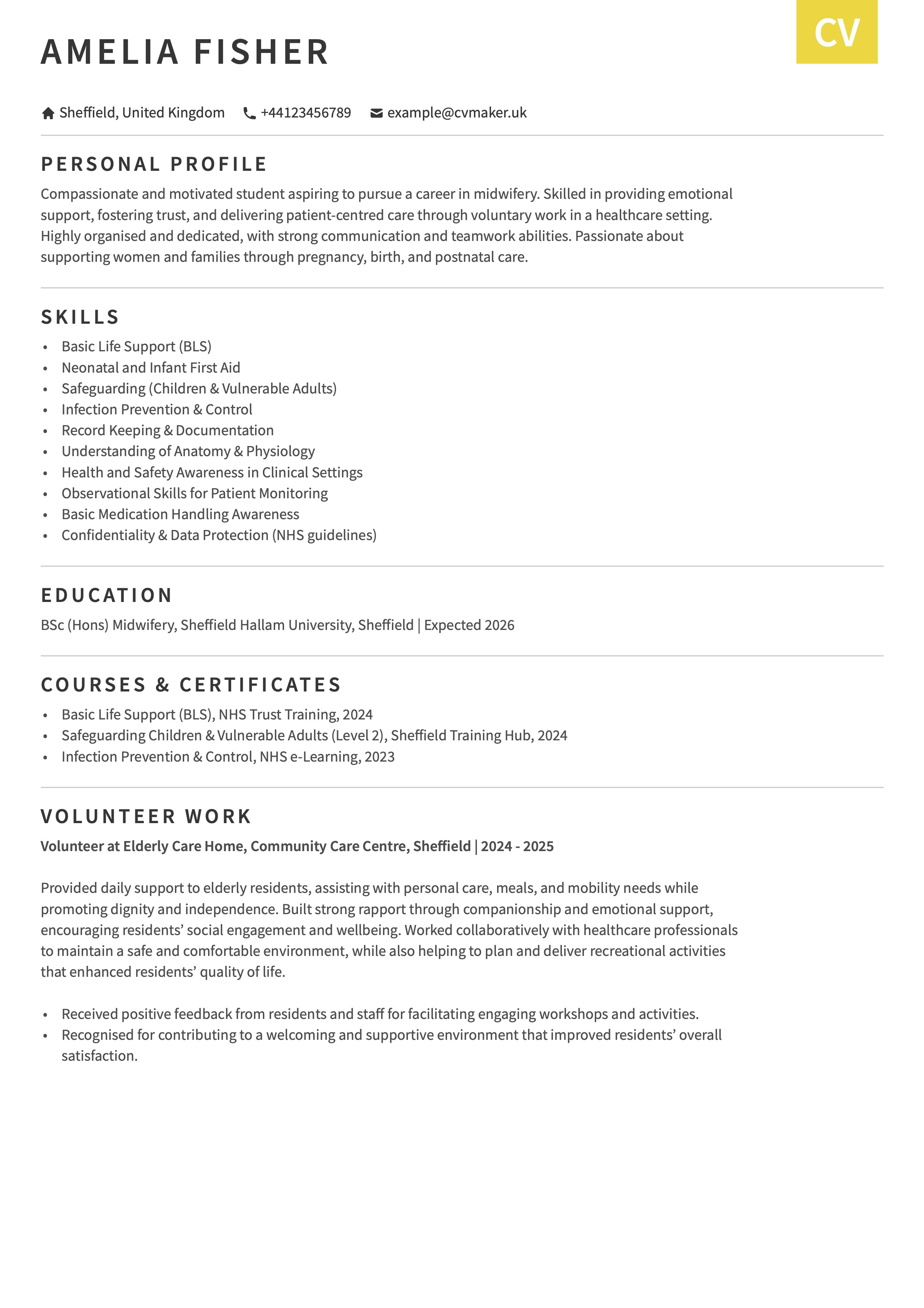 midwife CV example no experience