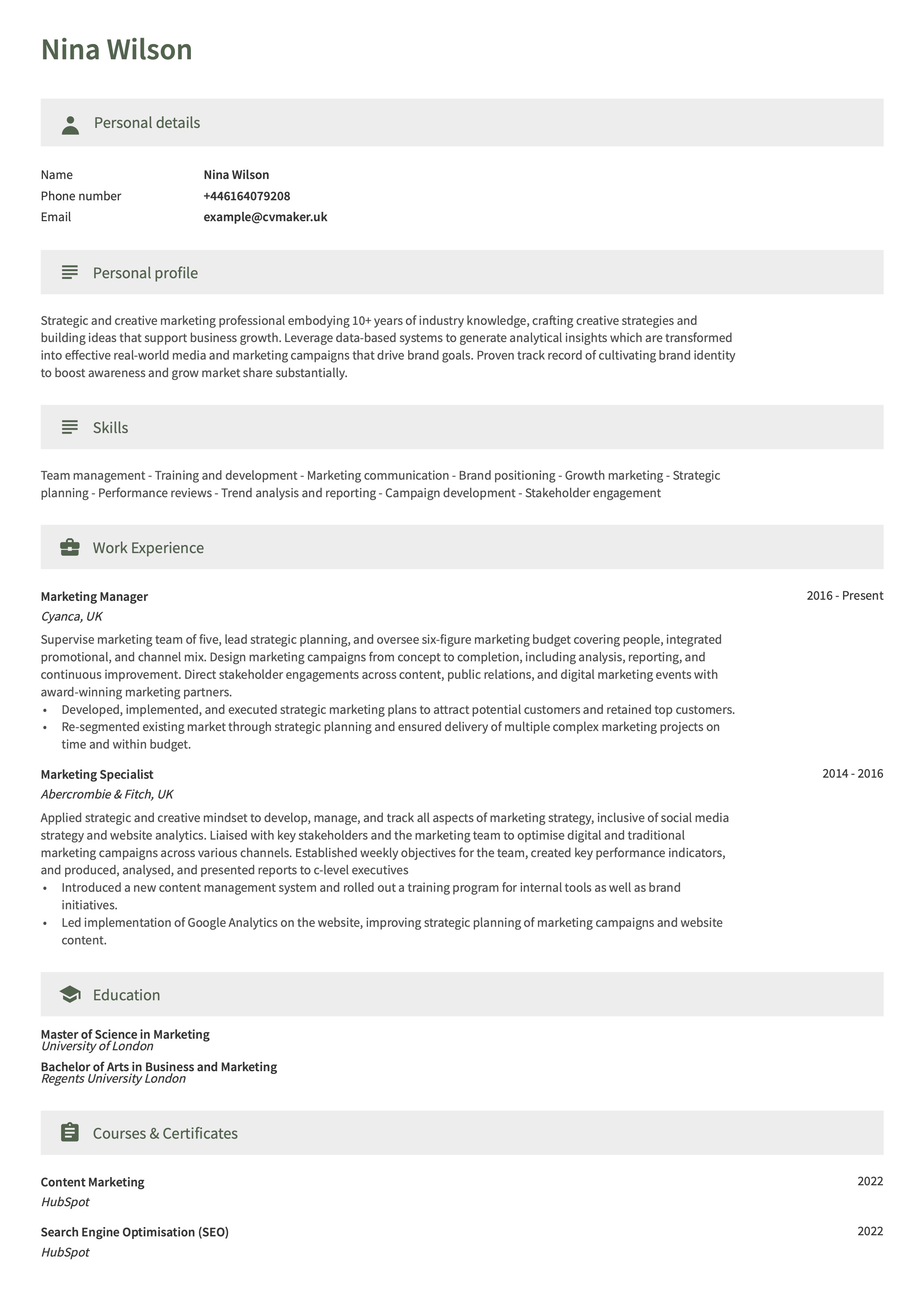 marketing CV example