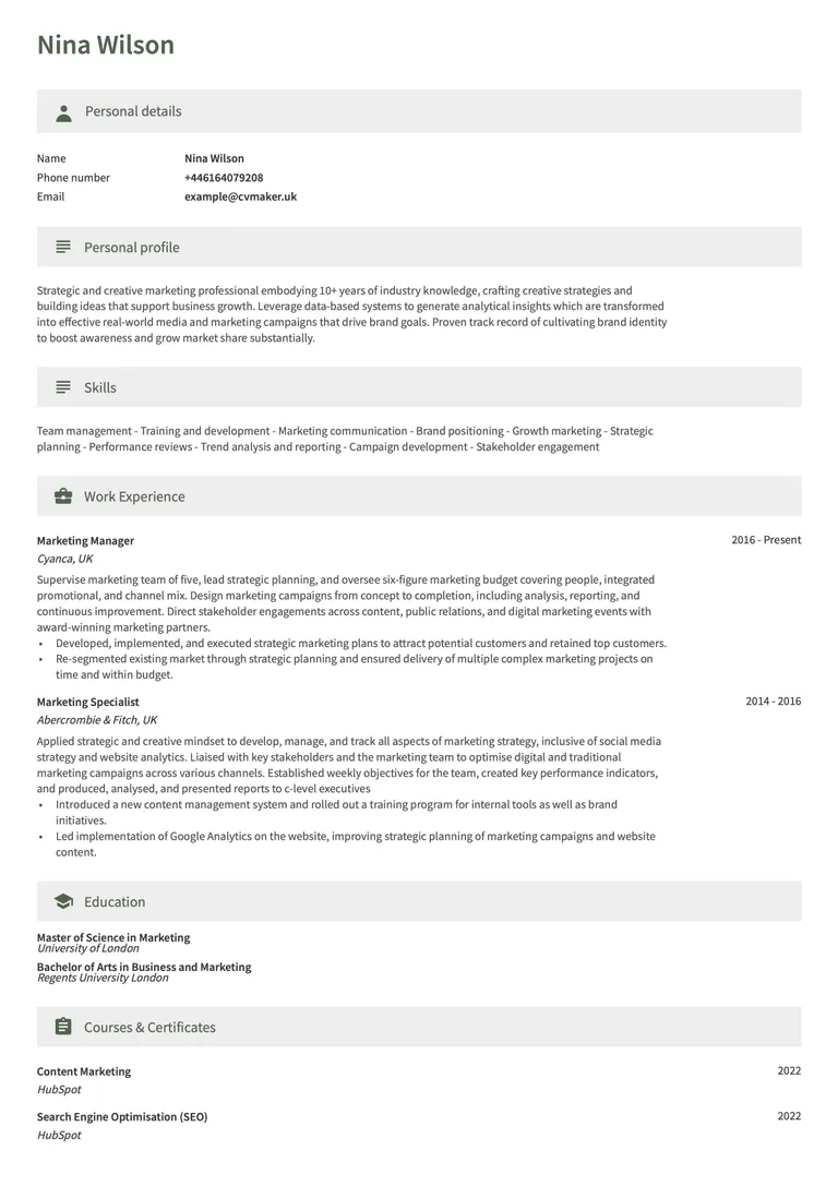 marketing CV example
