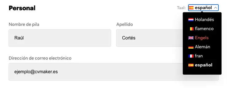 Traducir CV inglés