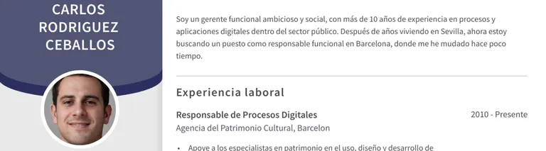 perfil profesional informático ejemplo