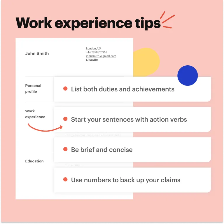 project management CV work experience example