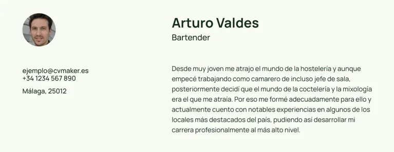 perfil de un bartender