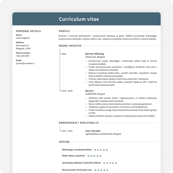 Profesionalni dizajn CV obrazaca