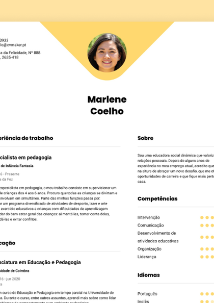 modelo de CV moderno