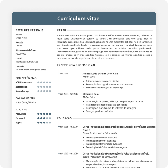 Modelos de CV Profissional Cambridge
