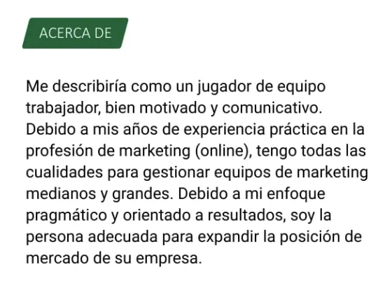 perfil de un director de marketing ejemplo