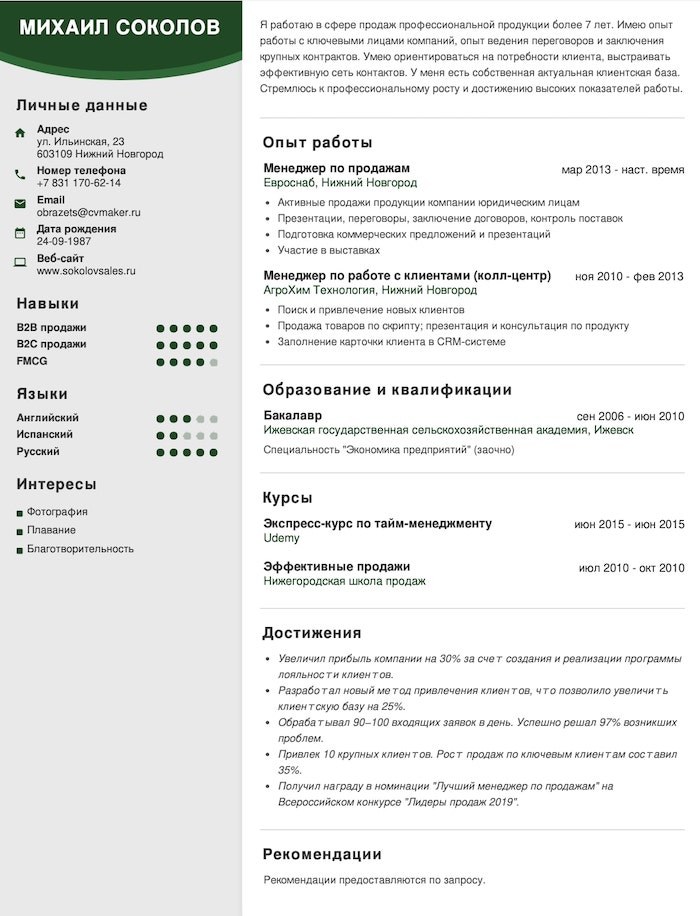 CV example marketing