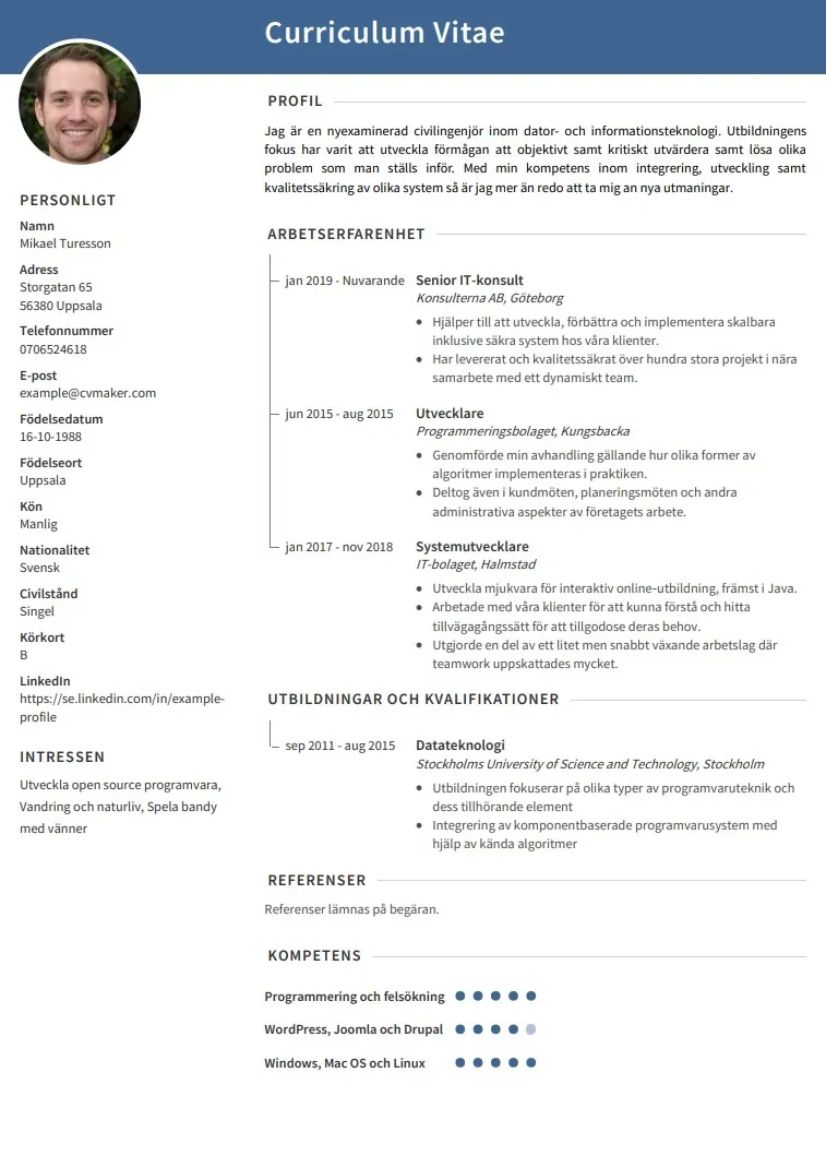 cv exempel Informationschef