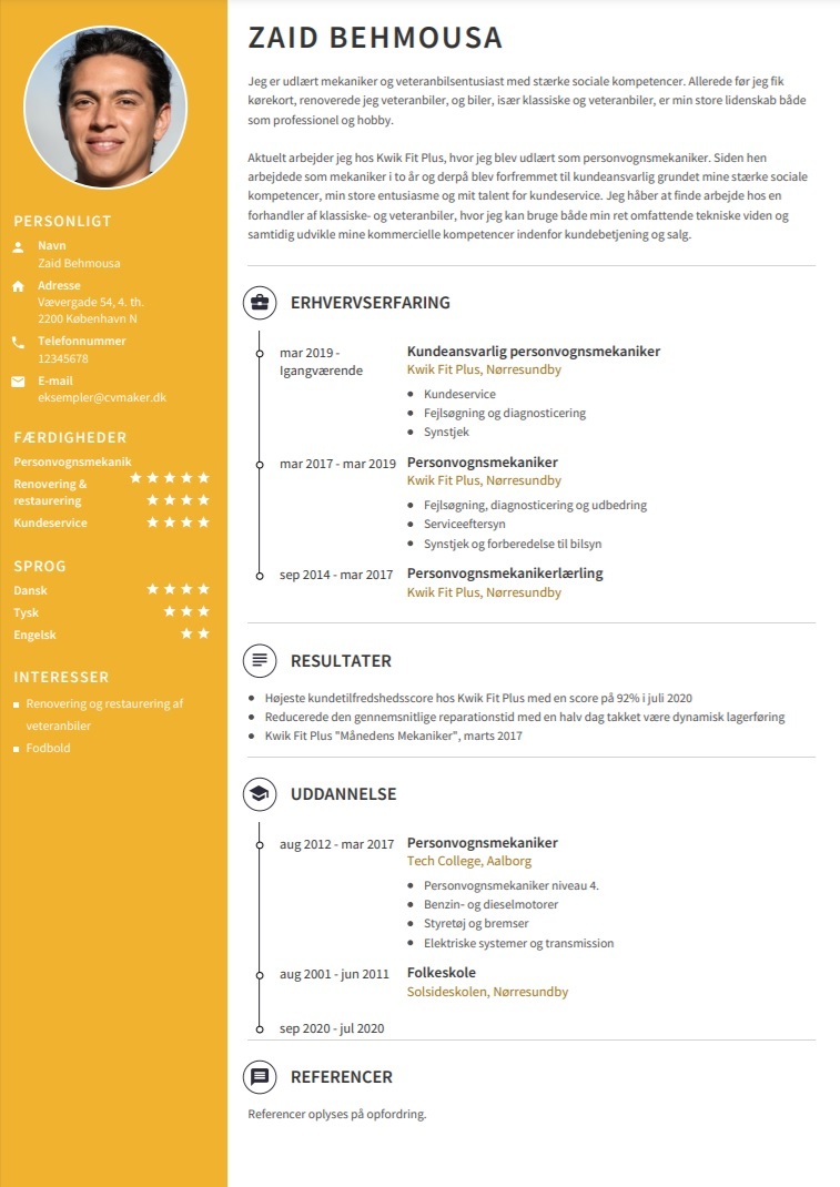 CV eksempel med resultater
