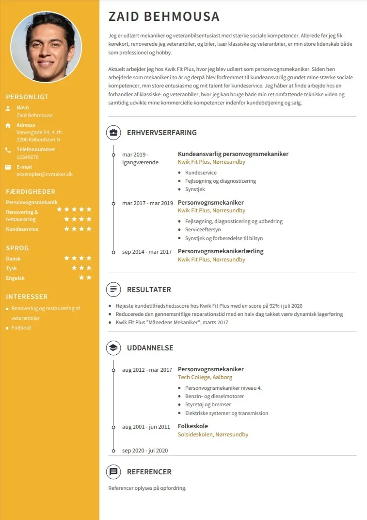 CV eksempel med resultater