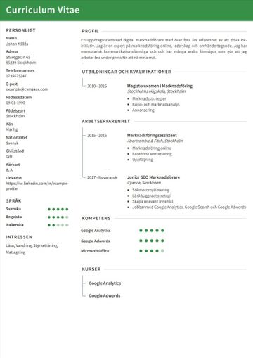 CV exempel – Marknadsföring