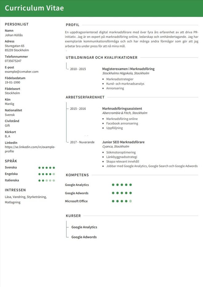 CV exempel – Marknadsföring