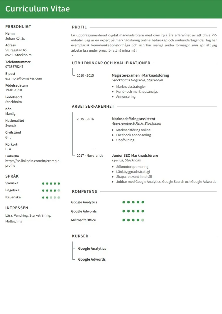 CV exempel – Marknadsföring