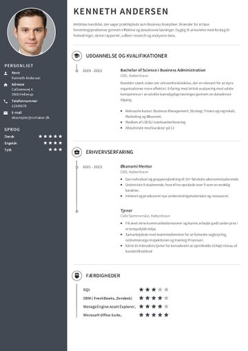 Eksempel på praktik CV