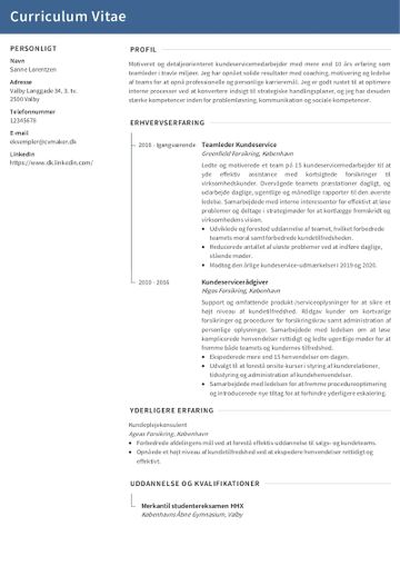 Eksempel på et CV til en kundeservicemedarbejder