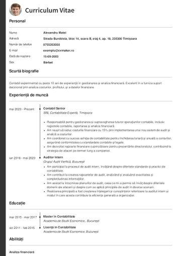 Exemplu de CV contabil