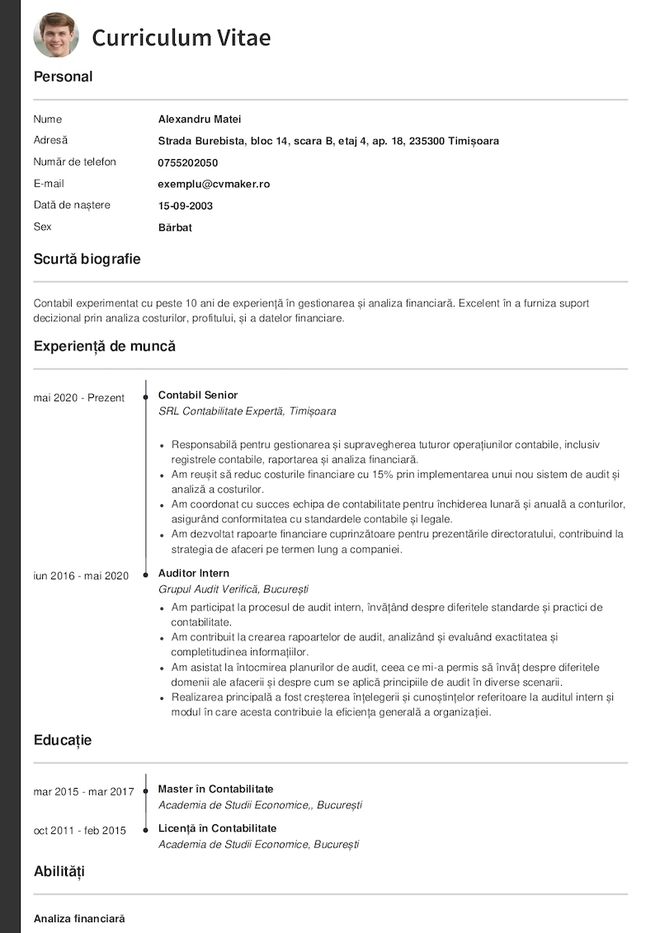Exemplu de CV contabil
