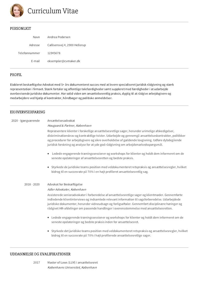 Eksempel på Arkitekt CV