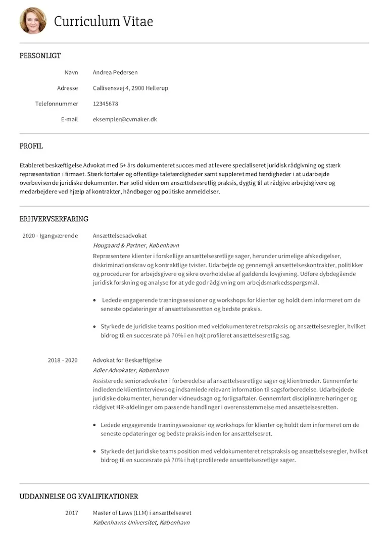 Eksempel på Arkitekt CV