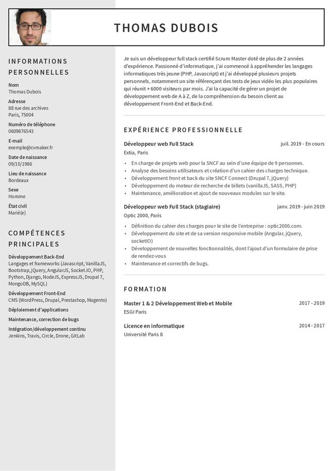 CV développeur web exemple