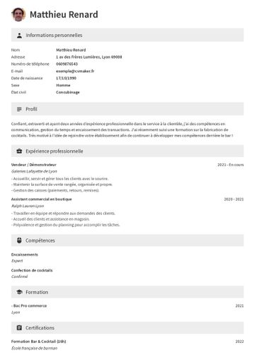 CV barman exemple