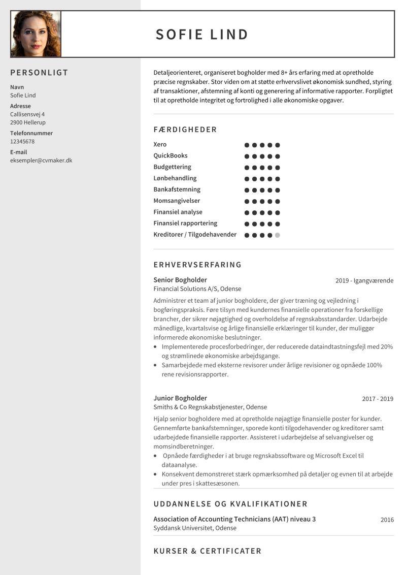 Eksempel på bogholder CV