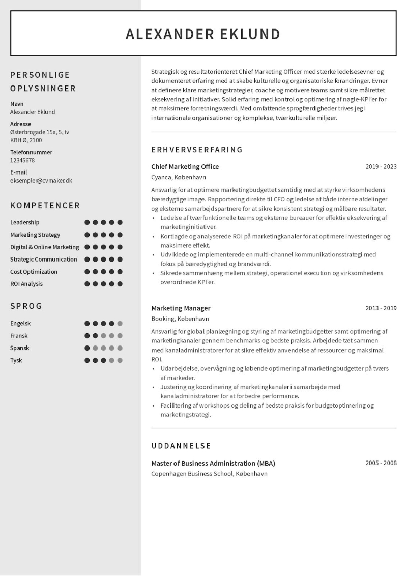 vigtigste færdigheder i CV’et
