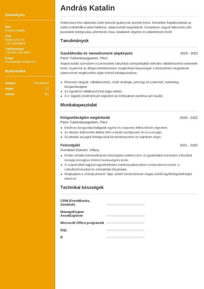 gyakornoki önéletrajz minta