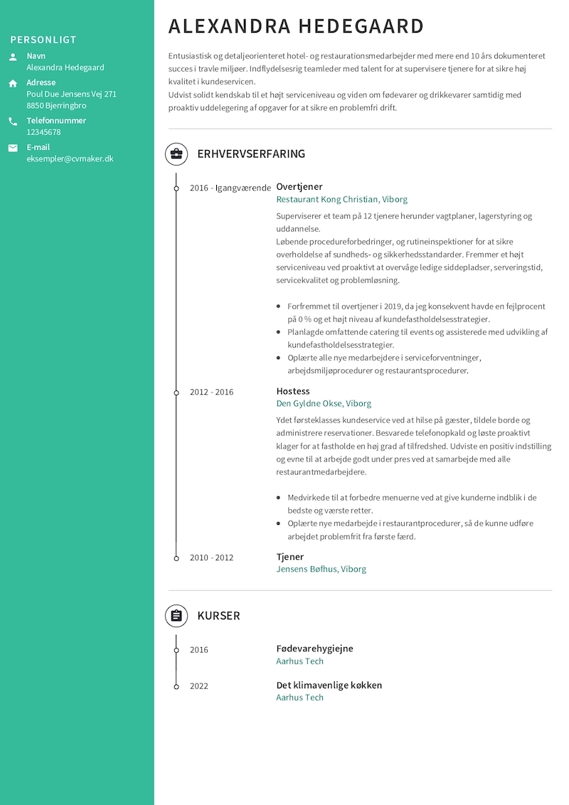 Eksempel på et Tjener-CV