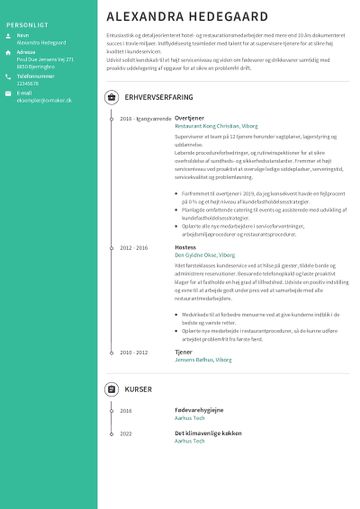 Eksempel på et Tjener-CV