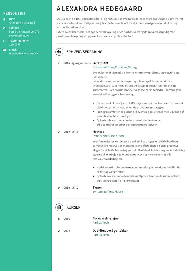 Eksempel på et Tjener-CV