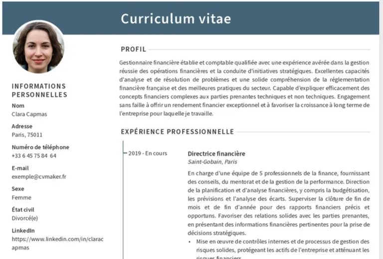 exemple cv linkedin profile