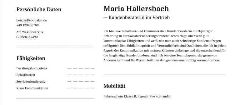 Führerschein im Lebenslauf Beispiel