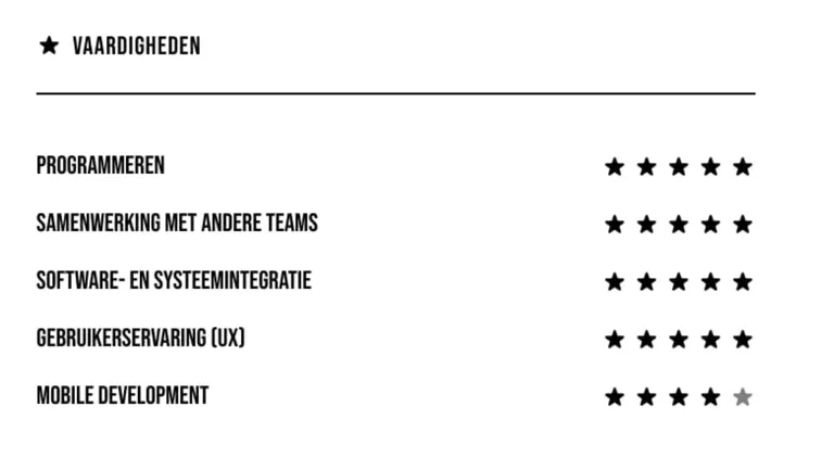 cv vaardigheden voorbeeld
