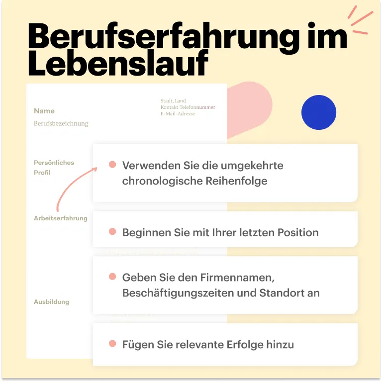 Führungskraft Lebenslauf Berufserfahrung