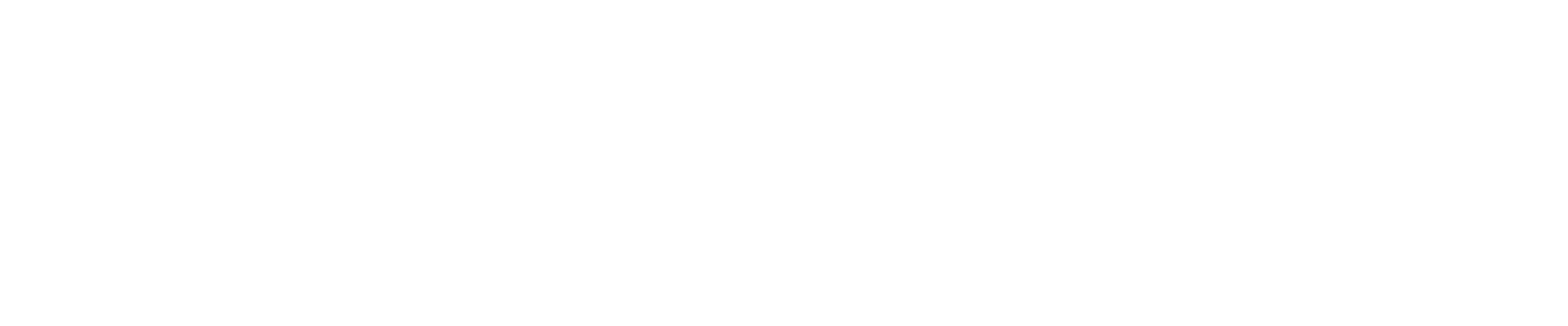 Logo der BMW Foundation