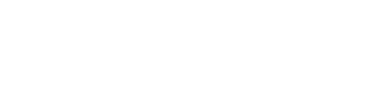 Night Loops logo