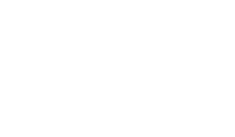 Fowl Damage logo