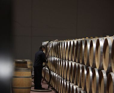 Weingut Bodegas Mauro