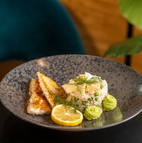 Zander auf Secco-Risotto