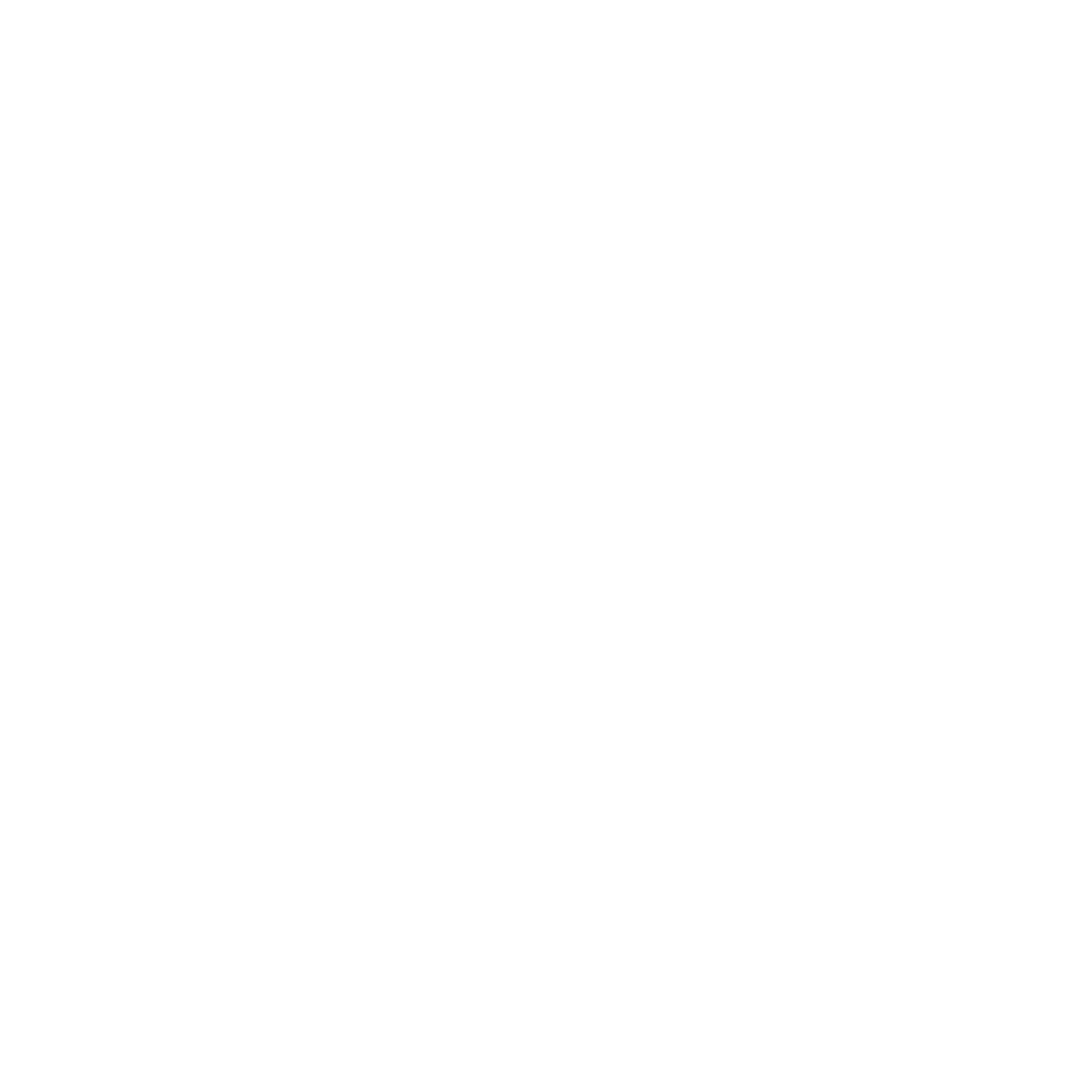 VN_WHITE