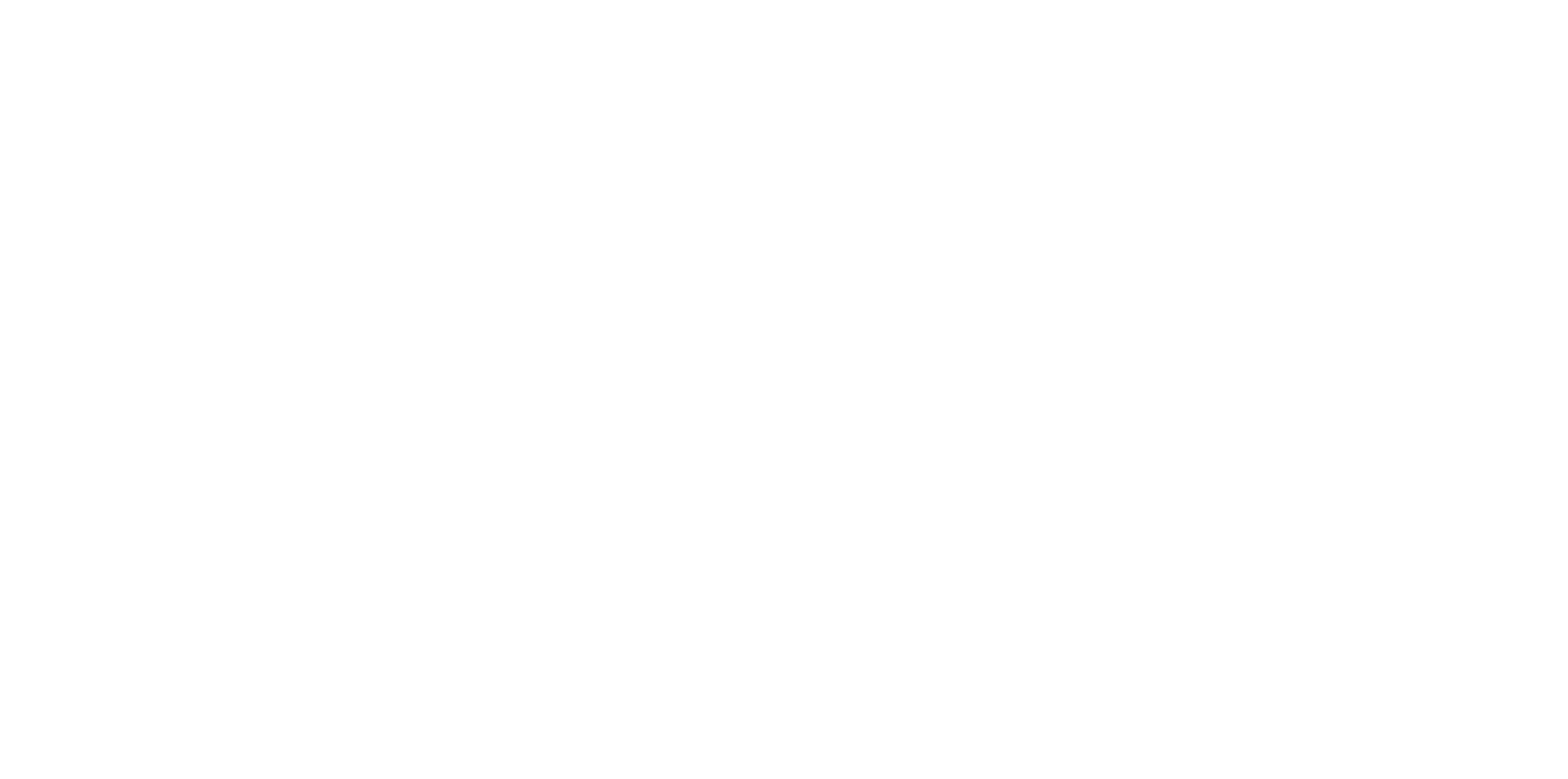 VOL_RGB_negativ 2