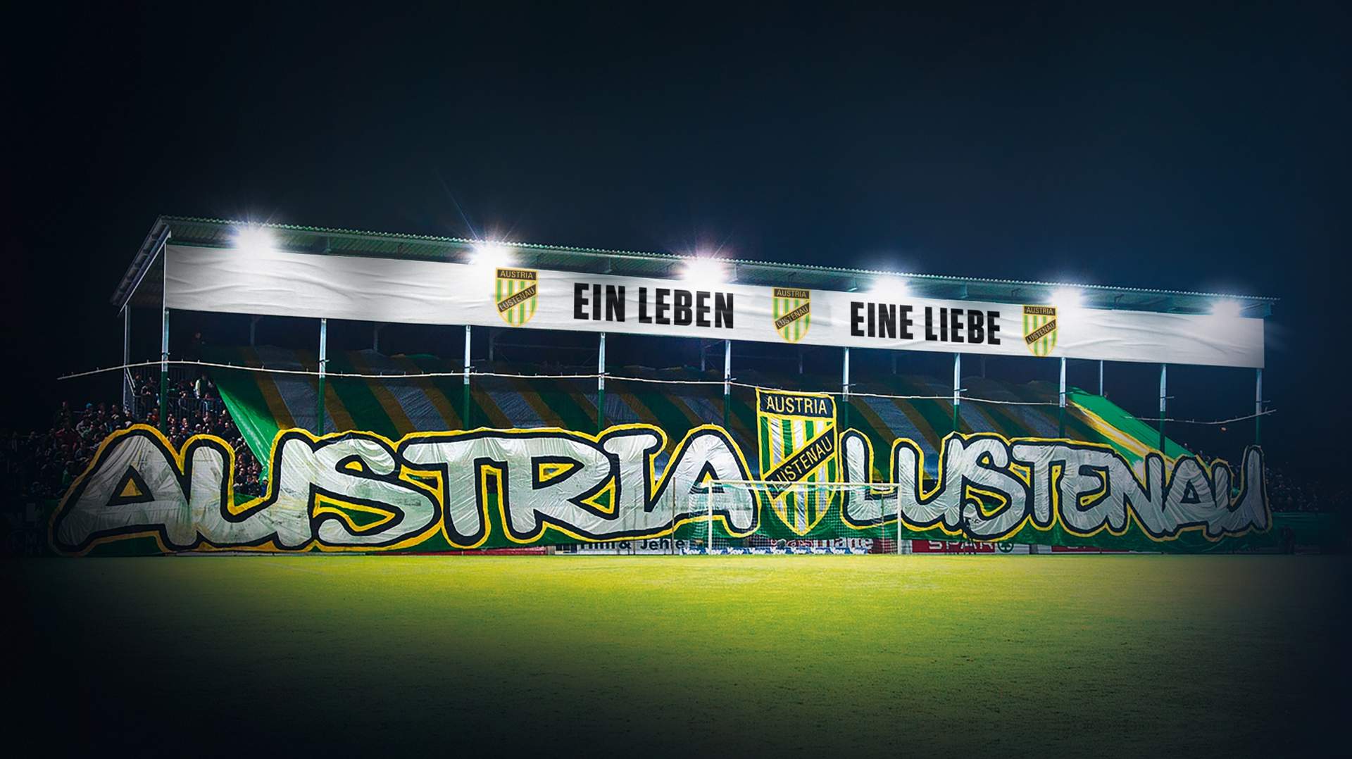 Stadion mit Fans