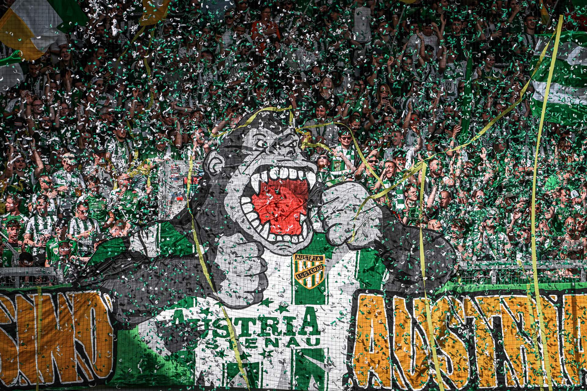 Fans Derby