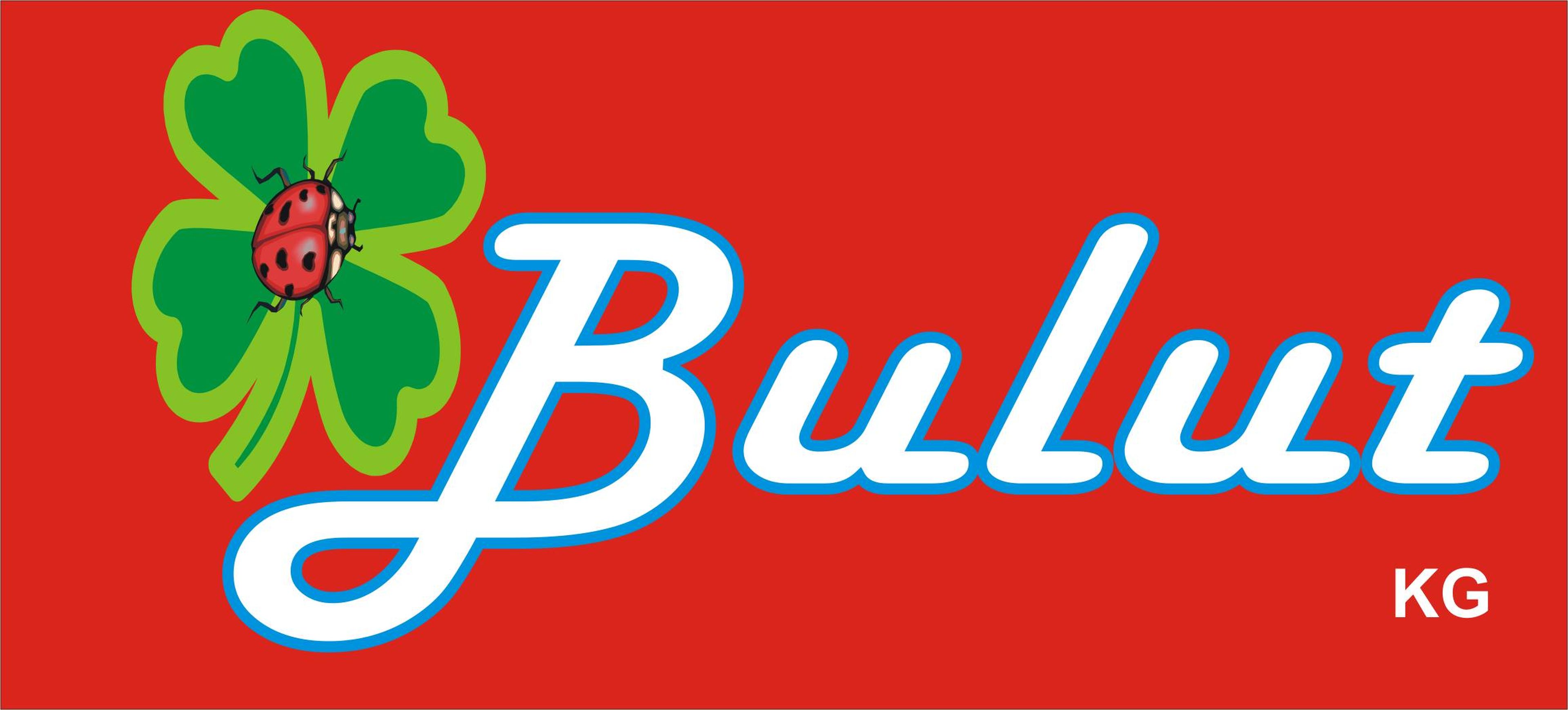 Bulut