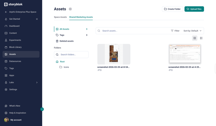 Storyblok dashboard displaying the "Assets" section with a sidebar menu and two image files listed.