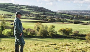 A man stood in a field looking at the landscape