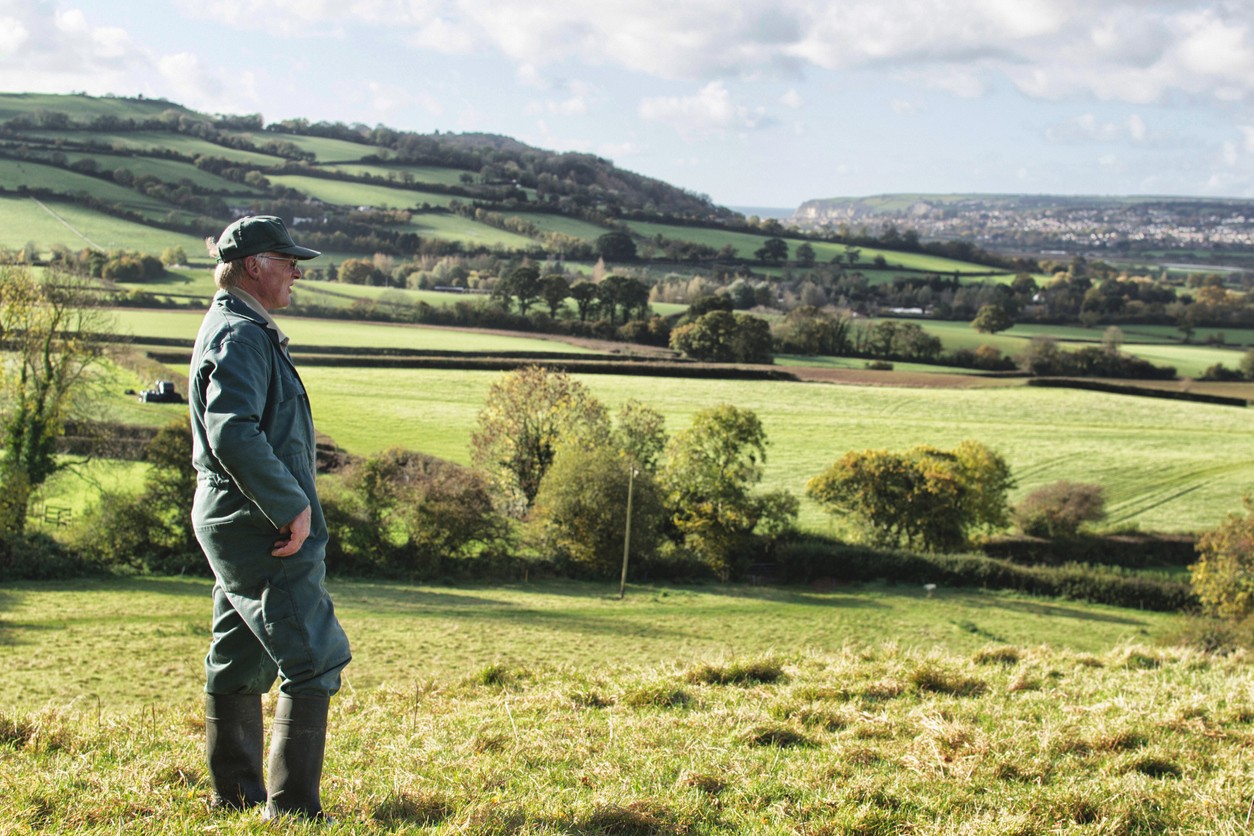 A man stood in a field looking at the landscape